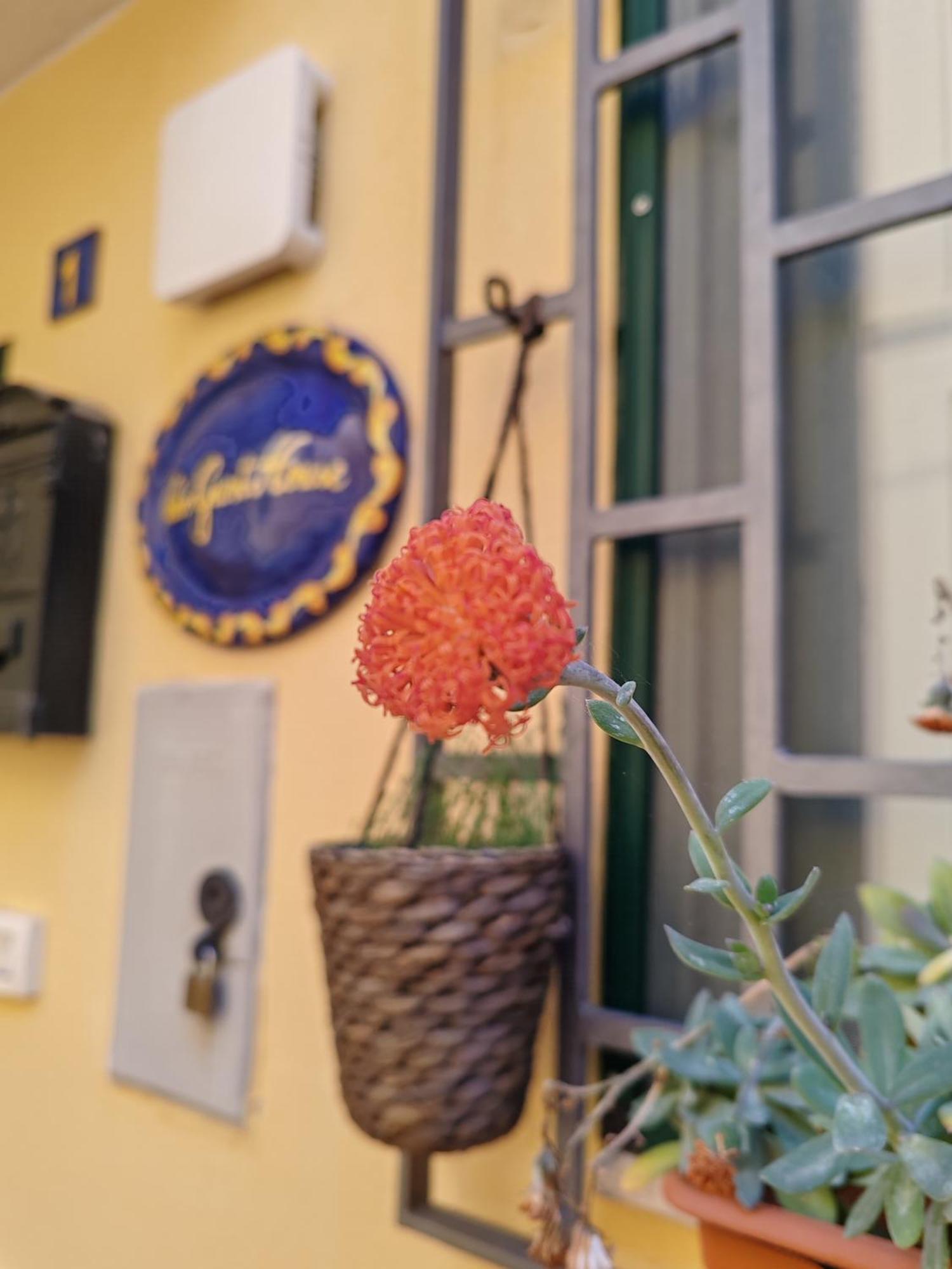 Smart House Ingresso Indipendente- Amalfi Coast Lägenhet Salerno Exteriör bild